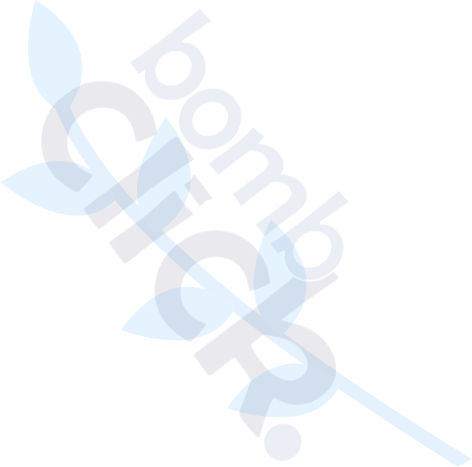 Google Reklam Tıklama